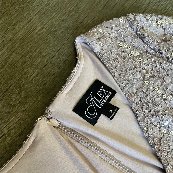 Alex women Evenings wedding party Sequin Chiffon Gown Lace Dress size 14 - Picture 2 of 9